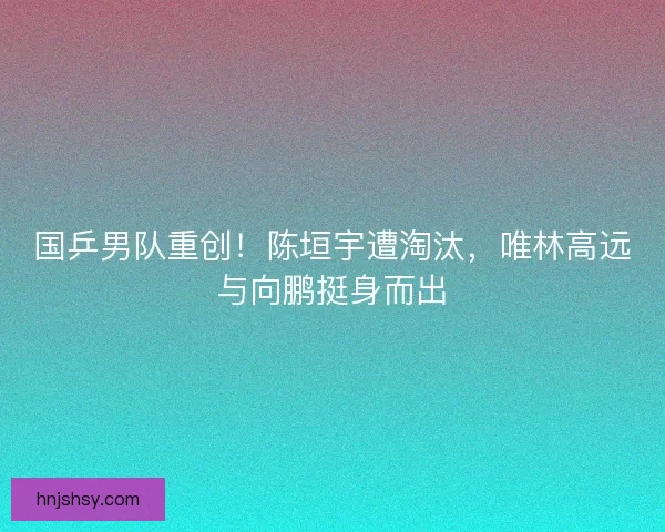 国乒男队重创！陈垣宇遭淘汰，唯林高远与向鹏挺身而出